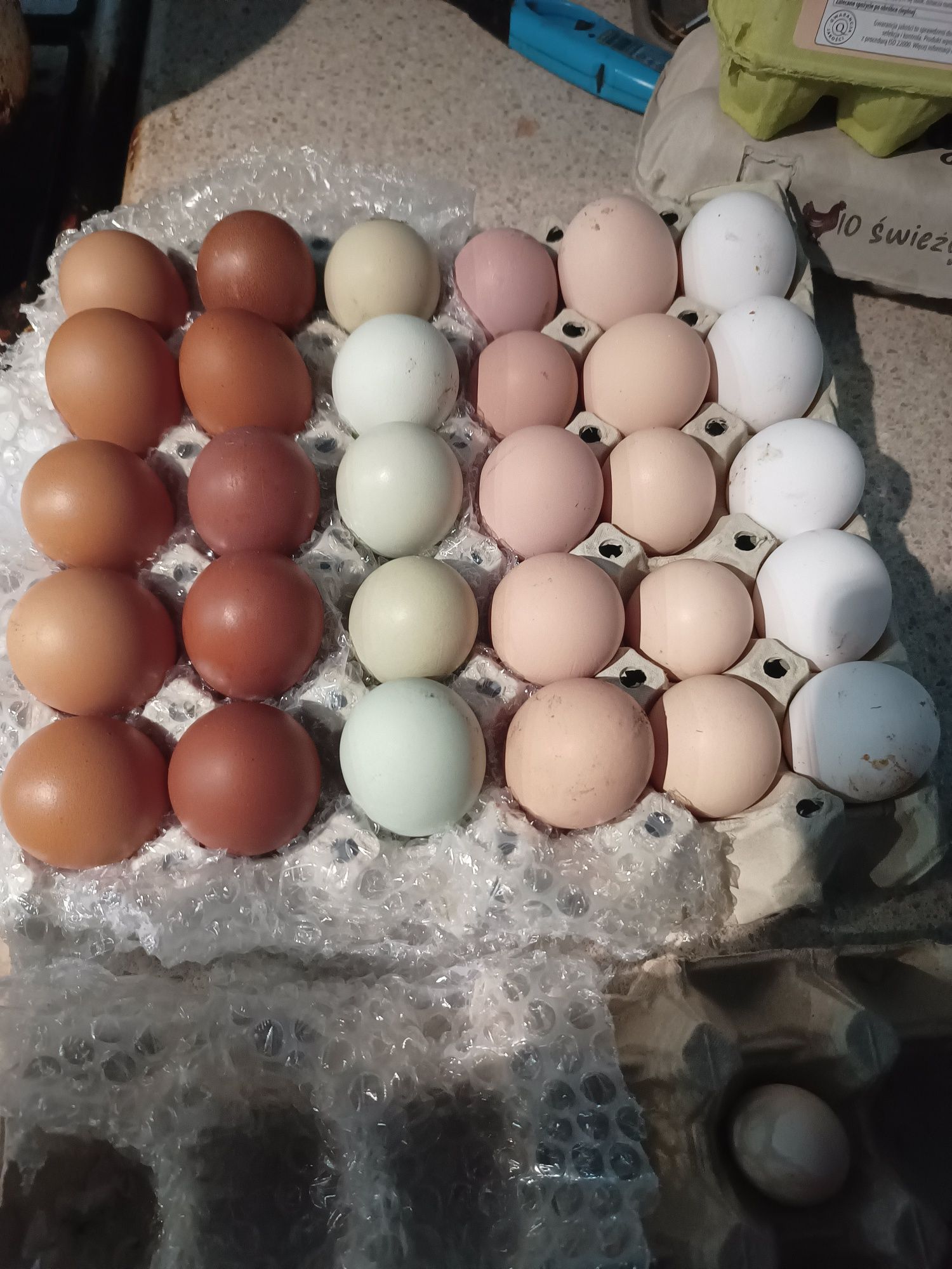Kolorowe jaja lęgowe