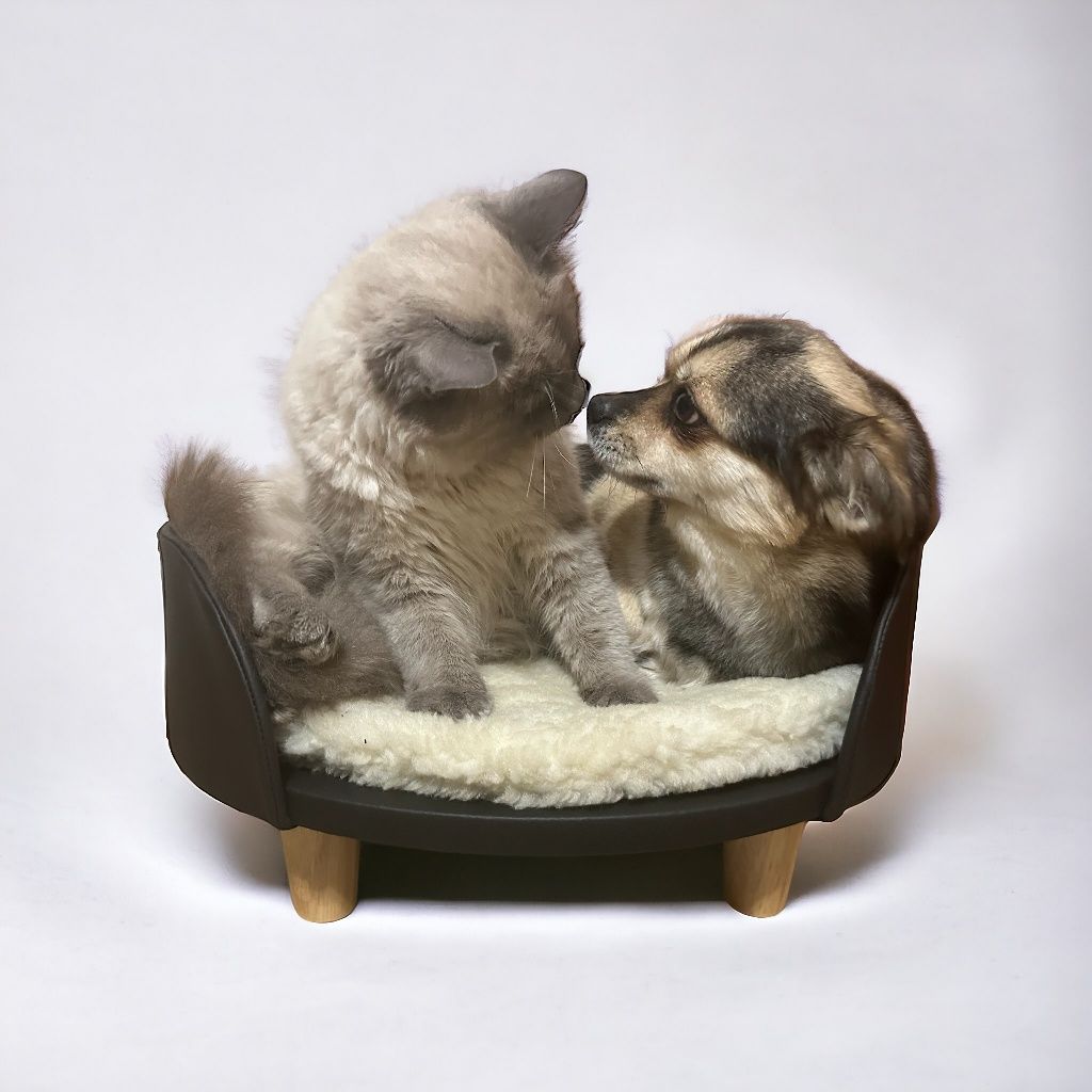Лежак для котів і собак.