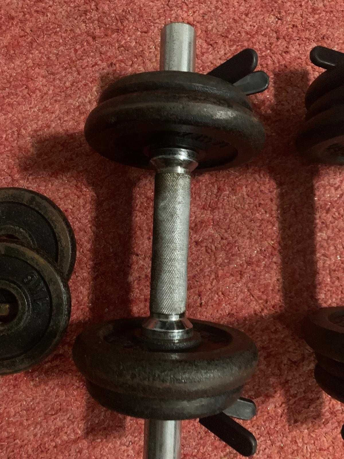 Dois Halteres de 10KG
