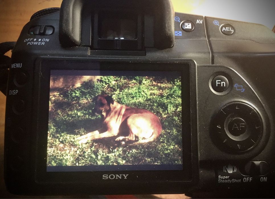 Sony Alpha 200 - 2 objetivas, carregador, bateria, cartão CF 8GB, etc