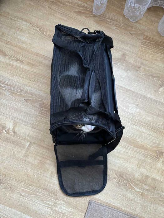 TRANSPORTER dla kota psa TORBA z pluszową matą w zestawie WENTYLACJA