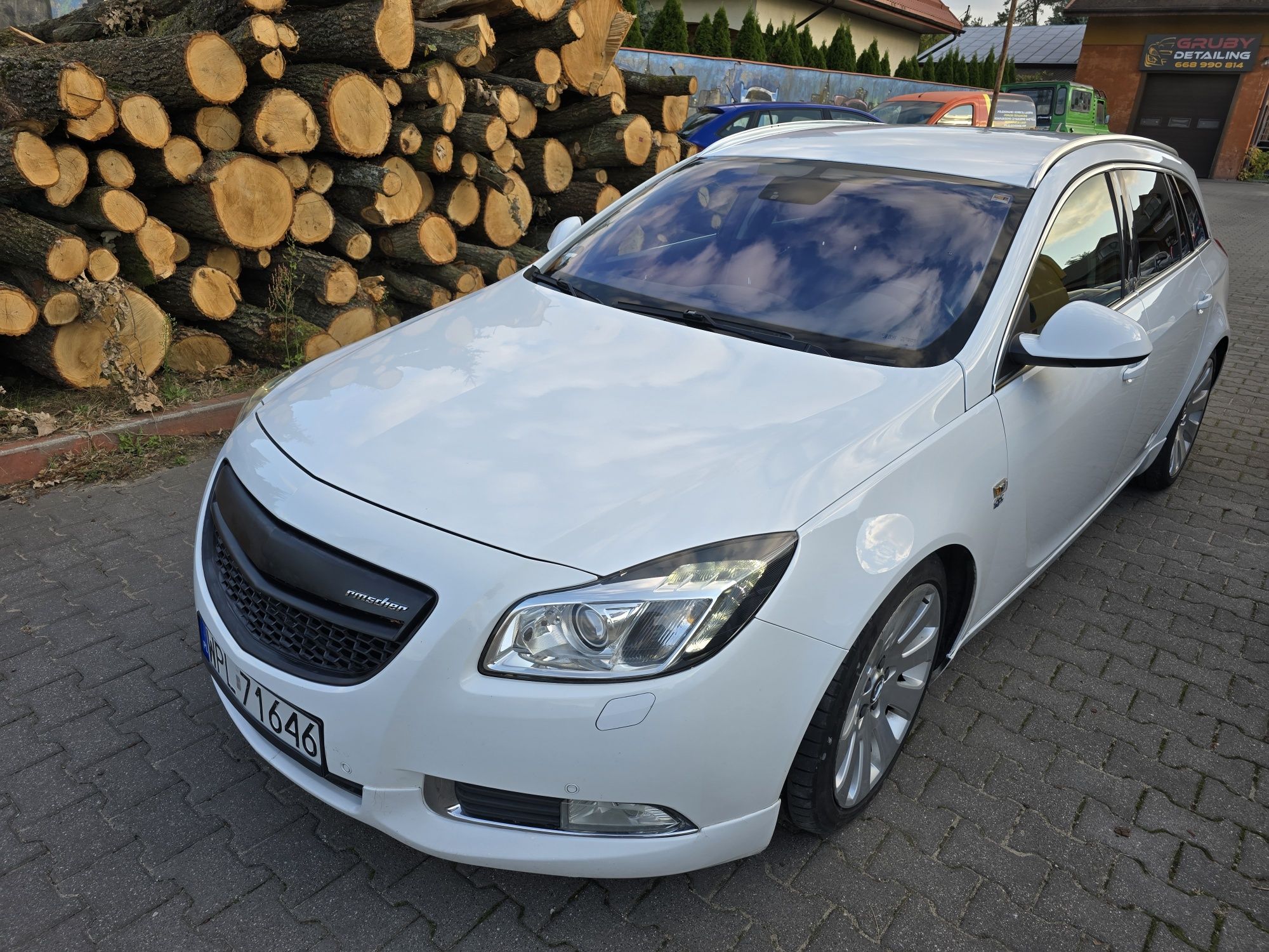 Sprzedam Opel Insignia A 2009 r. 2.0 CDTI 160 KM OPC LINE