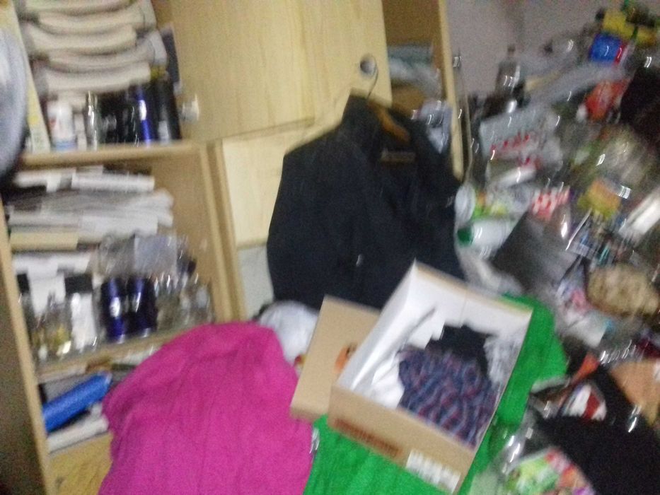 Zwalczanie pluskiew, pluskwy, pluskwa ,pluskwy, dezynsekcja.