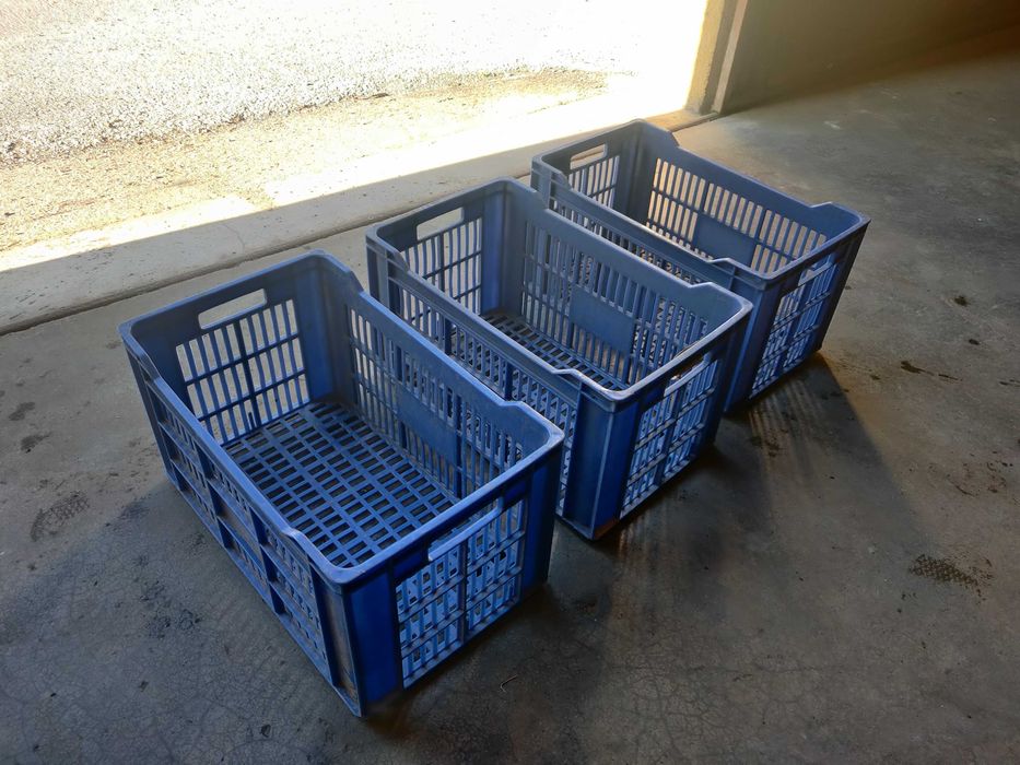 Caixas de Plástico 50x30x27