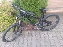 Dartmoor Hornet Mullet 2022