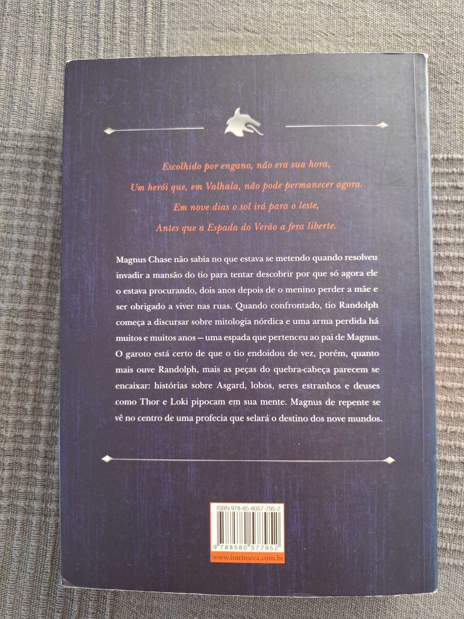 Magnus Chase 1o livro A Espada do Verão - Rick Riordan