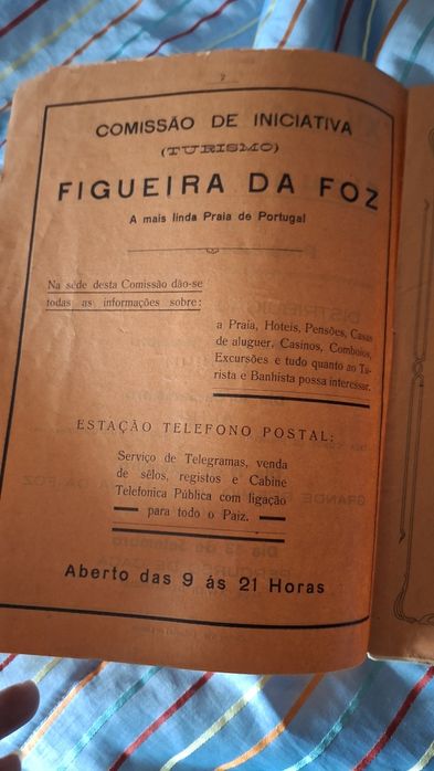 Programas concurso hipico Figueira Foz 1931 hipismo equitação