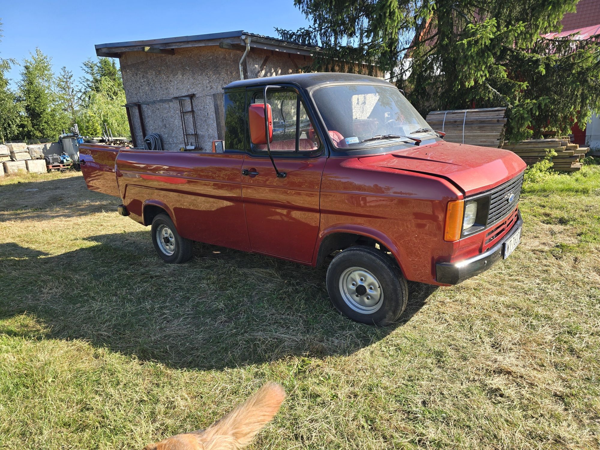Ford transit pikap