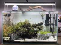 Aquário Strideways 60L completo com acessórios