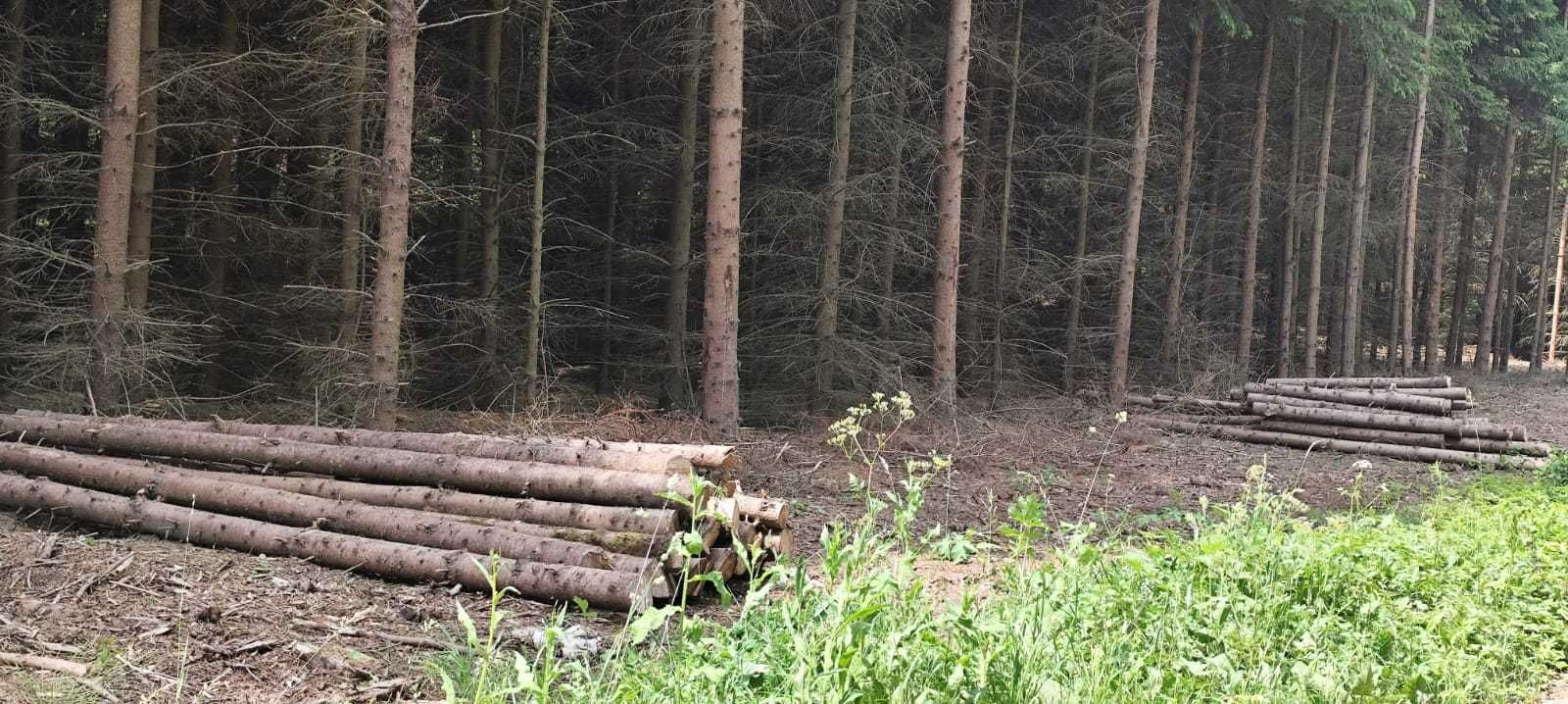 Drewno świerkowe z domieszką sosny – 12 m³