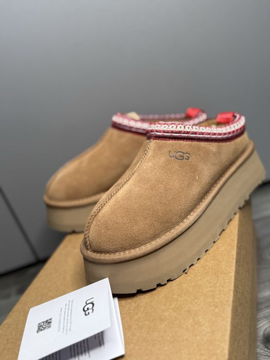Замшеві капці UGG Tazz || капці угг угги тапки уг тазз таз коричневые