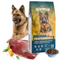 Karma dla psa DIVINUS PERFORMANCE 20kg