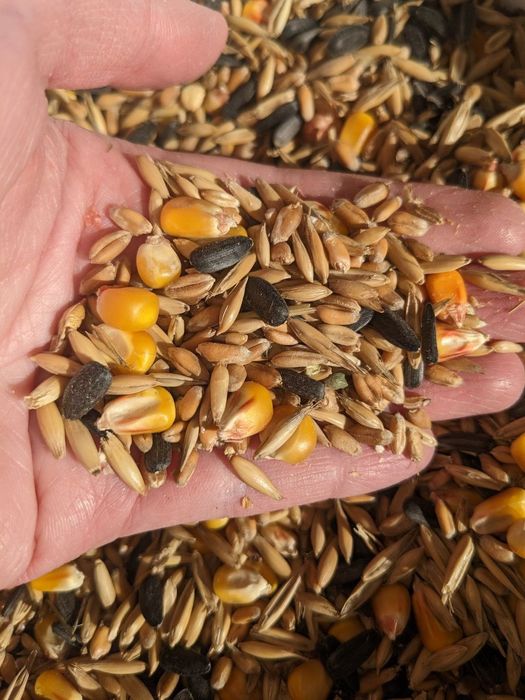 Акция! Универсальный корм для грызунов 1кг=60 грн