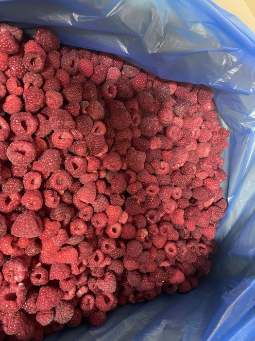 Малина морожена. 90/10