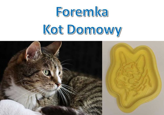 Foremka 3D w kształcie Kot Domowy (Domestic cat)
