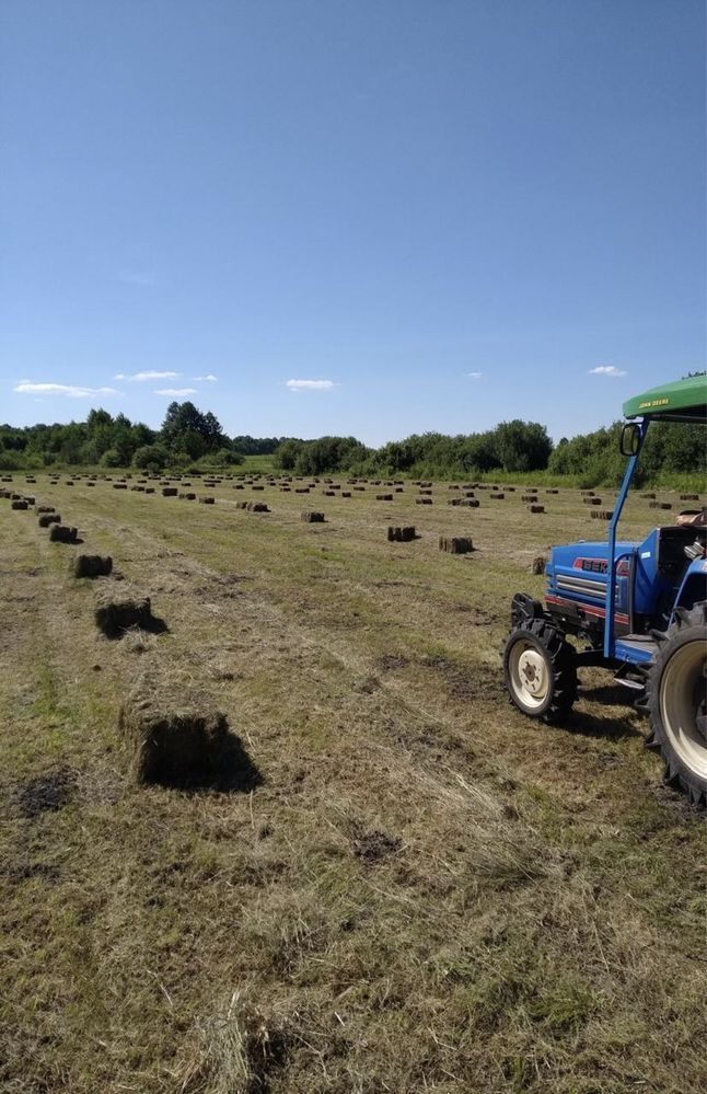 Продам сіно в тюках