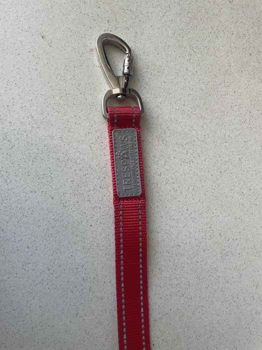 Pas bezpieczeństwa dla psa lub kota do samochodu