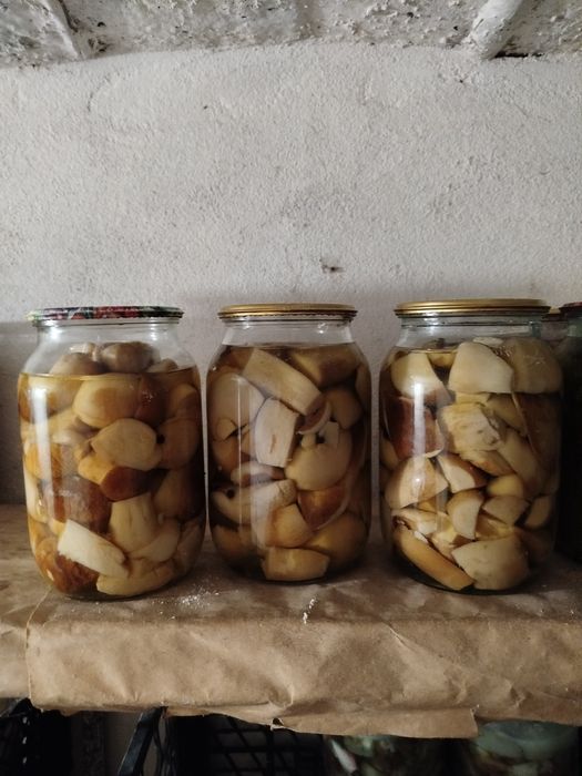 Продам гриби мариновані і сушені