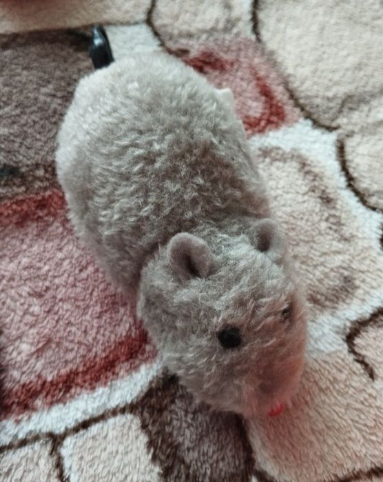 Іграшка для котика