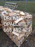 Drzewo opałowe i kominkowe sezonowane