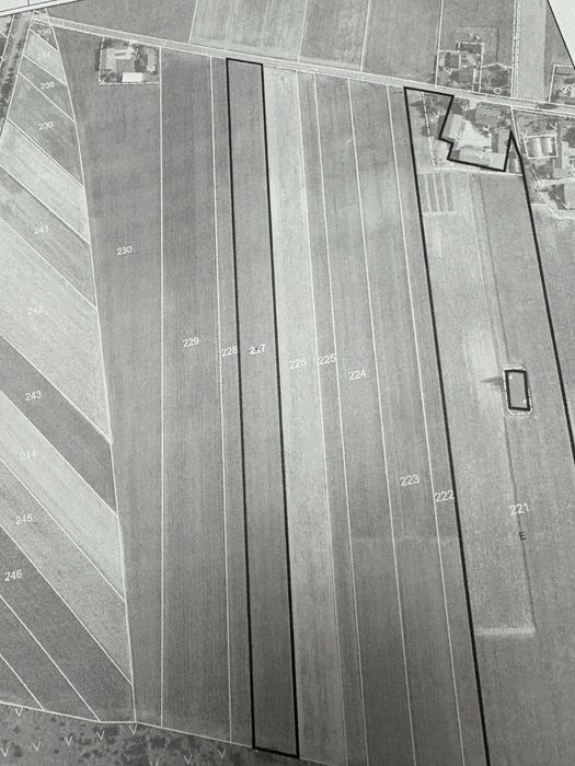 Sprzedam działkę rolną Łęczyca 12438m2