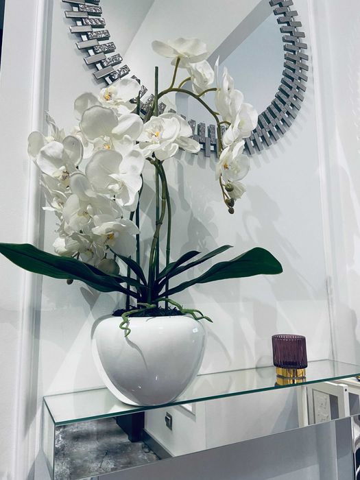 Storczyk duży bialy NOWY