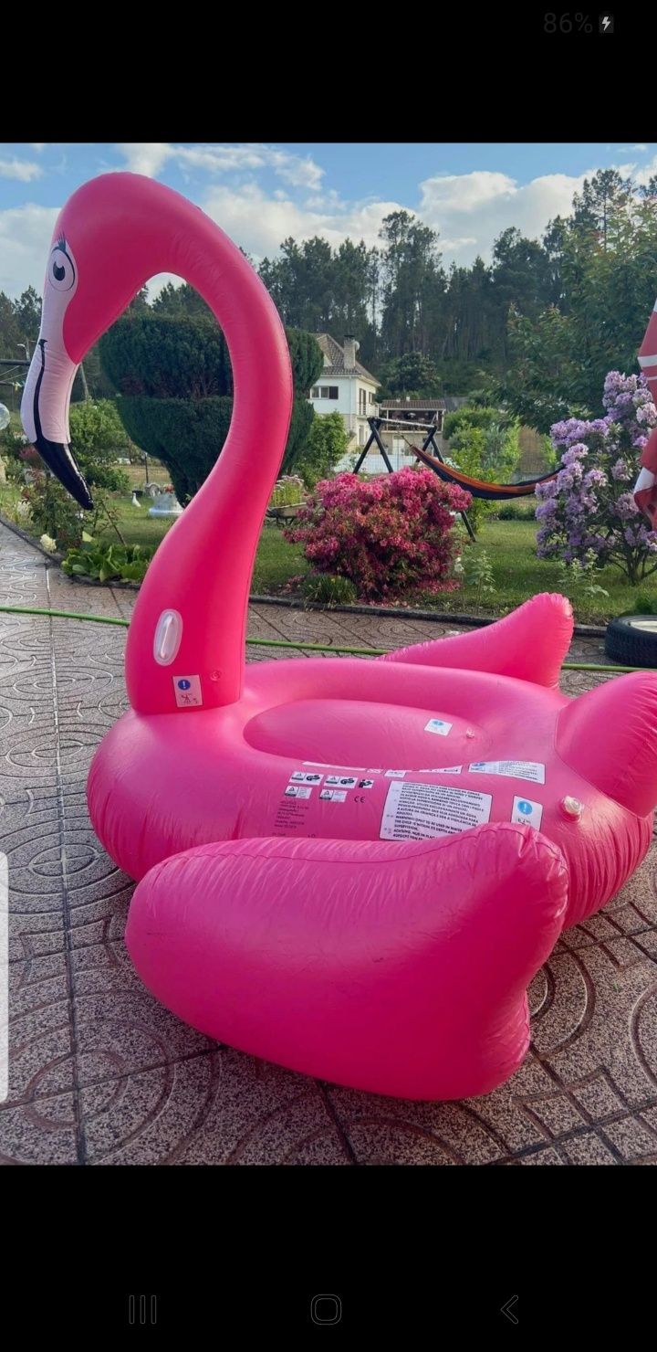 Insuflável Flamingo