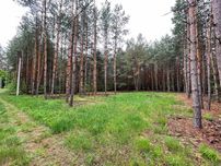 Продажа участков в сосновом лесу,12соток, Пуховка,Быковня,Киев,Погребы