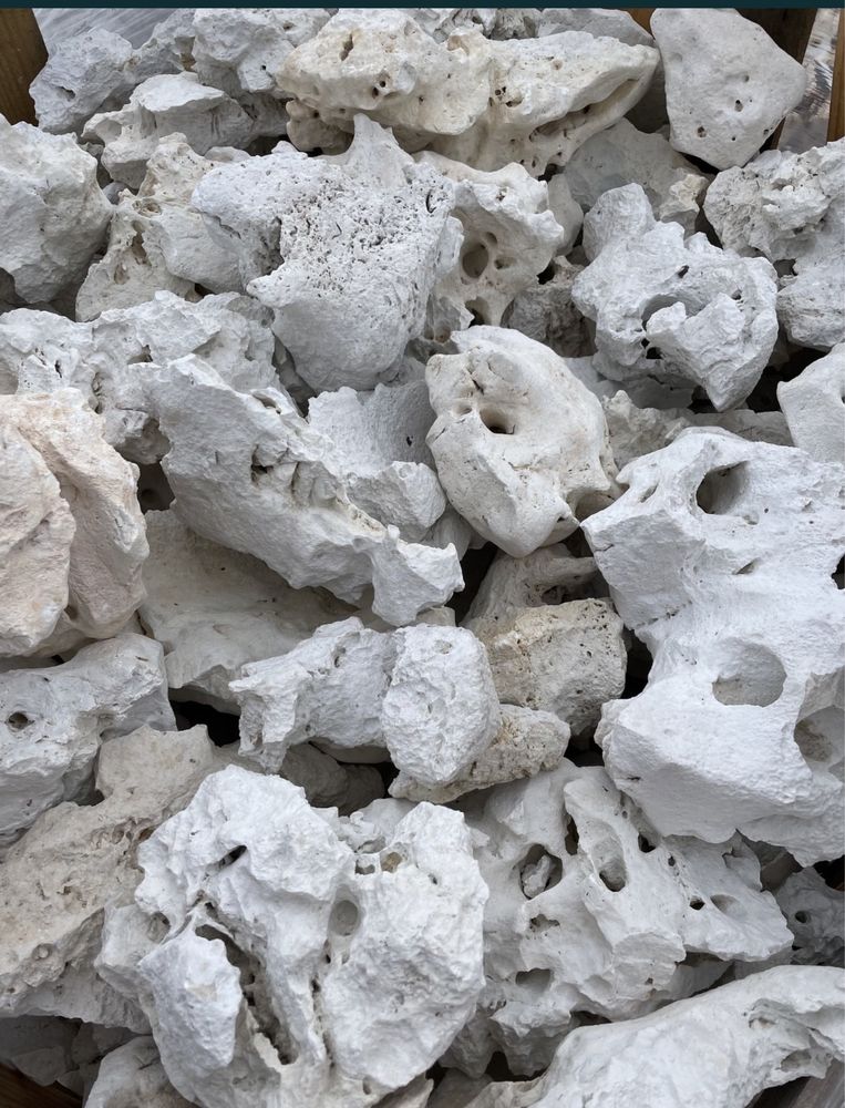 WAPIEŃ FILIPIŃSKI Biały Kamień do Akwarium Malawi Tanganika Terrarium