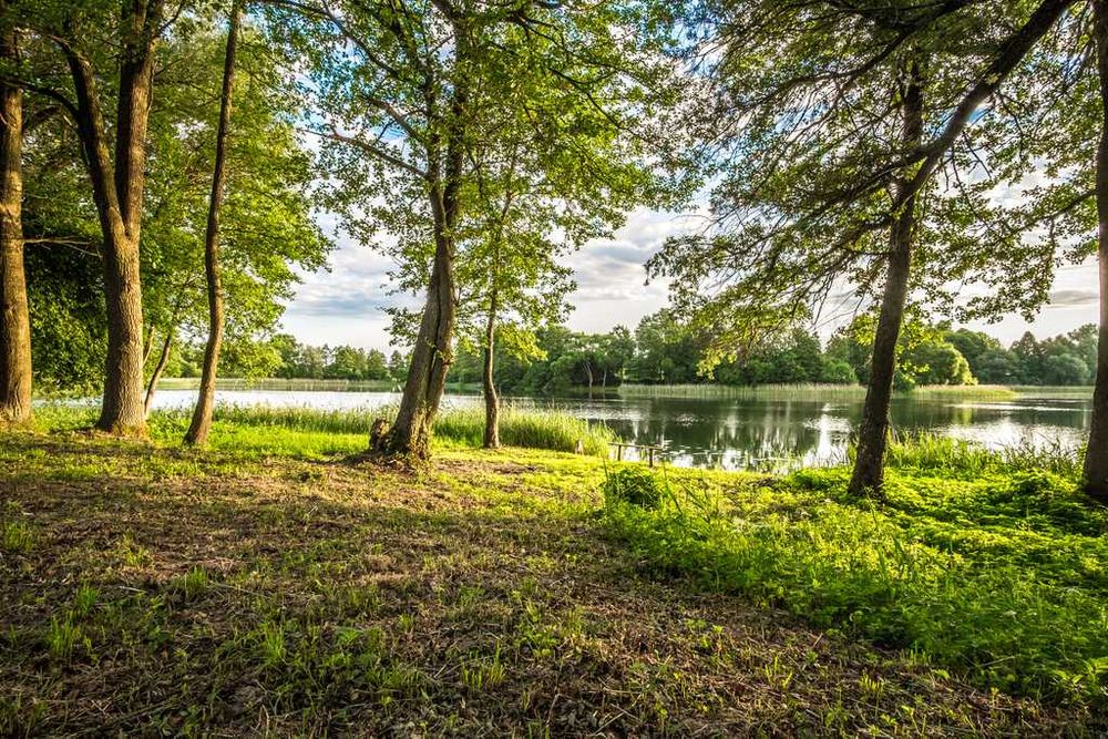 Duża działka nad jeziorem 0,99 ha (100m linii brzeg., war. zabud.)