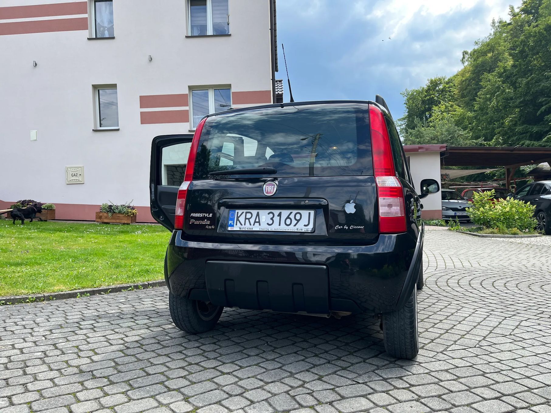 Fiat Panda Fiat Panda 1.2 4x4 Climbing (Freestyle)