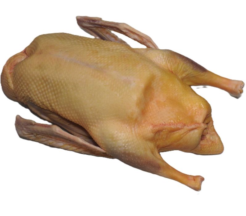 Sprzedam tuszki gęsi