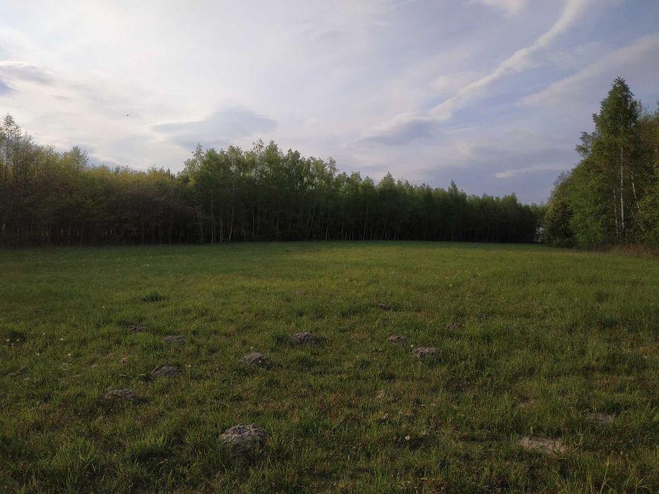 Działka ŚWIERKOWO/W-wa, Legionowo, Pułtusk, Maków, Wyszków, Nasielsk