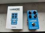 TC Electronic Flashback 2. Delay and Looper. Mash.