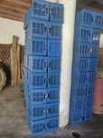 Caixas de Plástico 50x30x27
