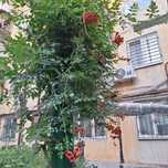 Продам 1 ком квартиру в районе пр. Слобожанский 2й этаж