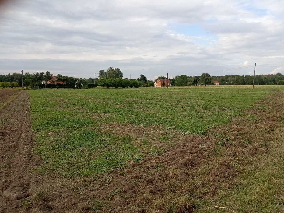 Sprzedam działkę gm. Grójec