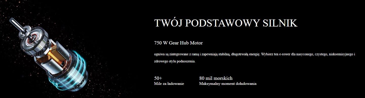 Rower Elektryczny Składany Engwe EP-2 PRO 750W czarny