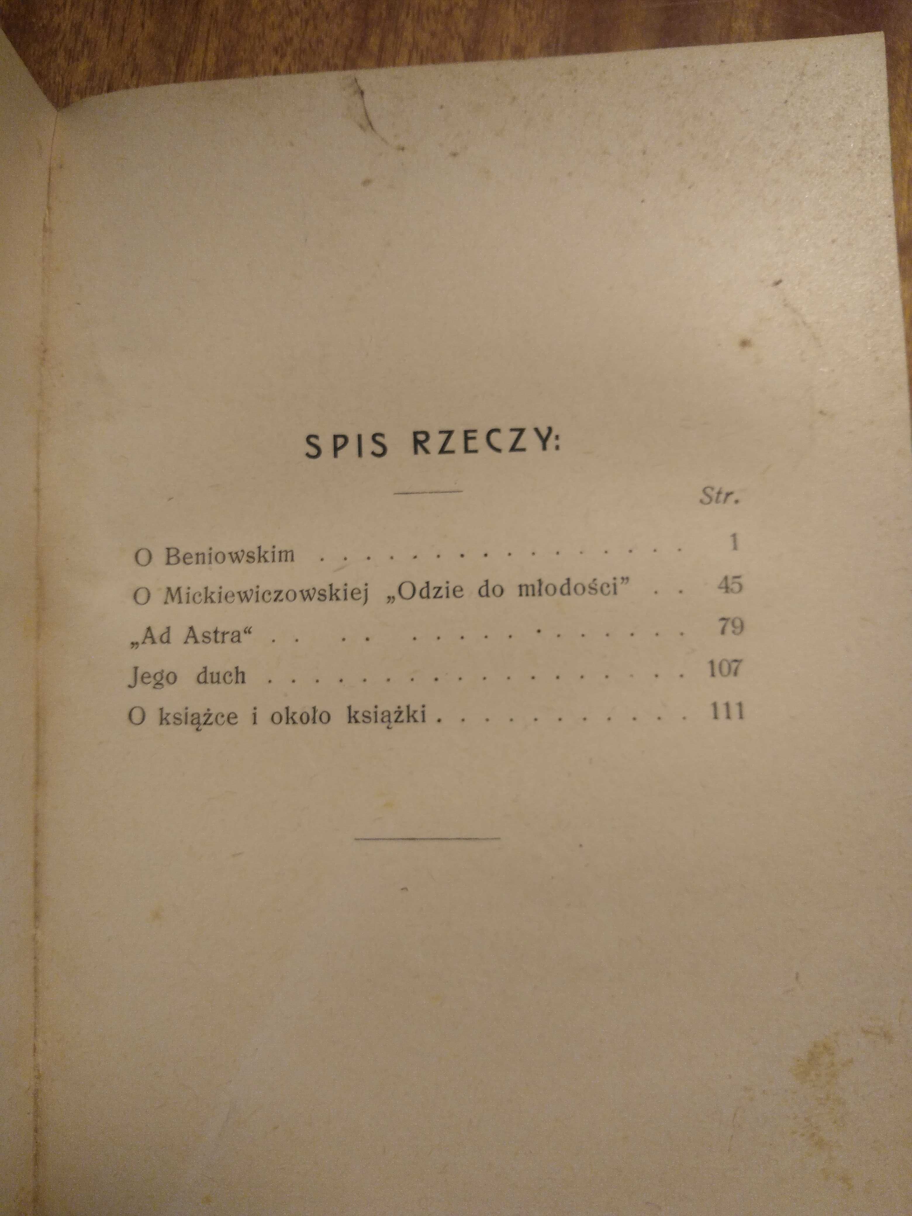Zarys dziejów lit. pol., Konopnicka, Potocki - współoprawa - 1903