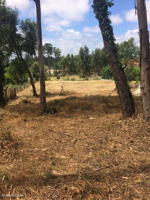 Terreno Marrazes / Leiria