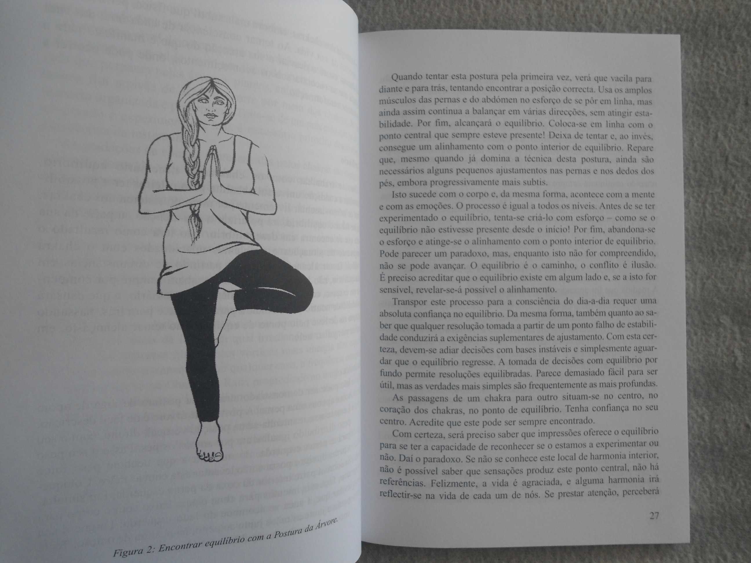 Chakras para principiantes-Para equilibrar a energia dos seus chakras