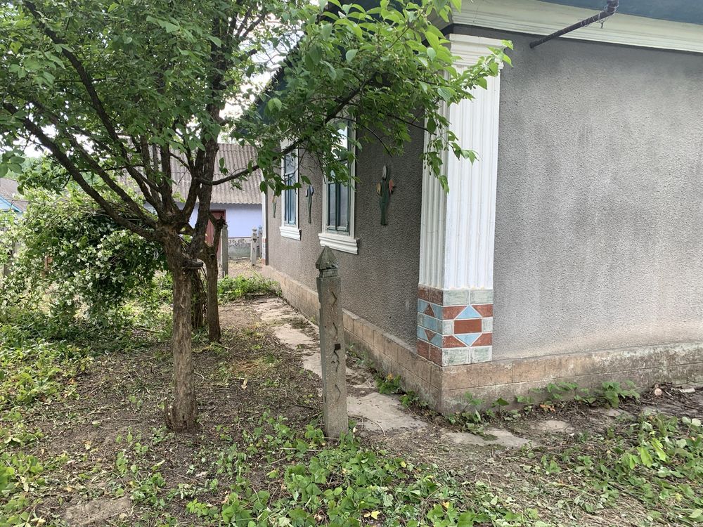 Приватний будинок ,літня кухня ,комора шопа для живності