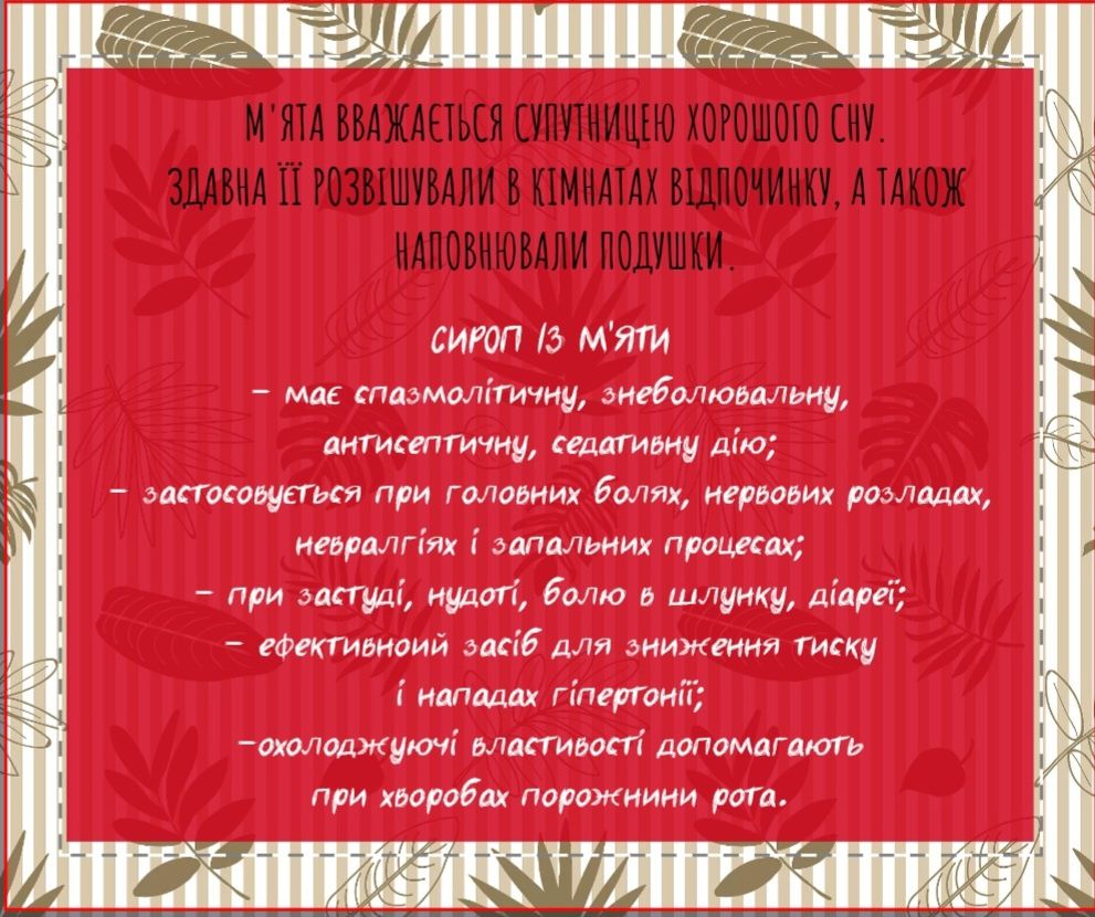 Сиропи - малина, хвоя, м'ята, бузина, чорниця, брусниця