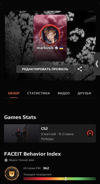 Акаунт 10 FACEIT CS2