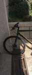 Vendo bicicleta em bom estado  300 €