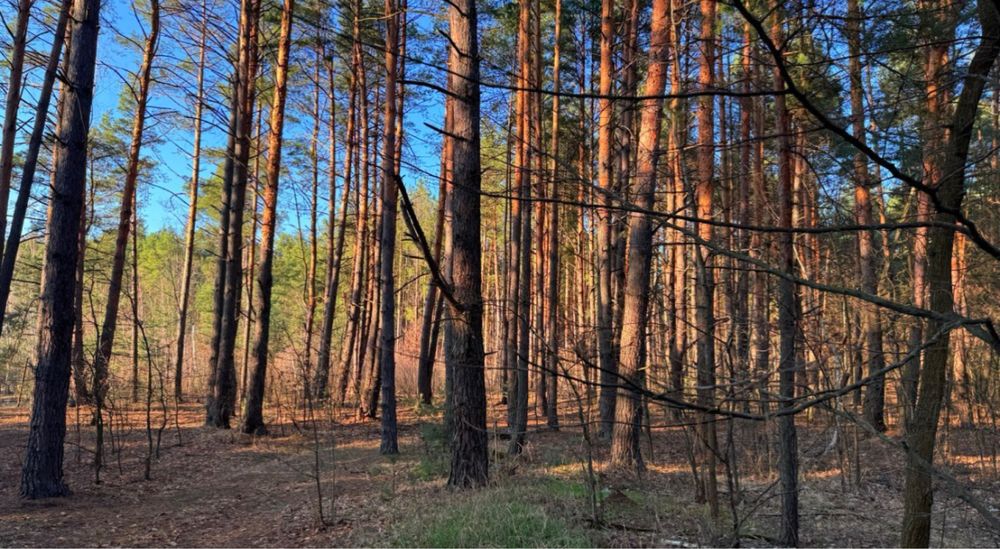 Продаж великої земельної ділянки у Ворзелі