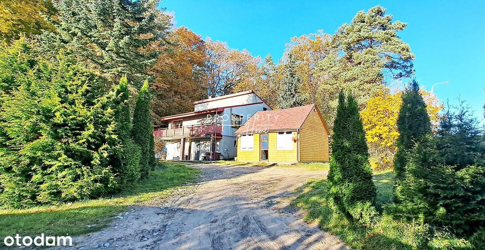 Dom z częścią usługową i prywatnym lasem - Góra