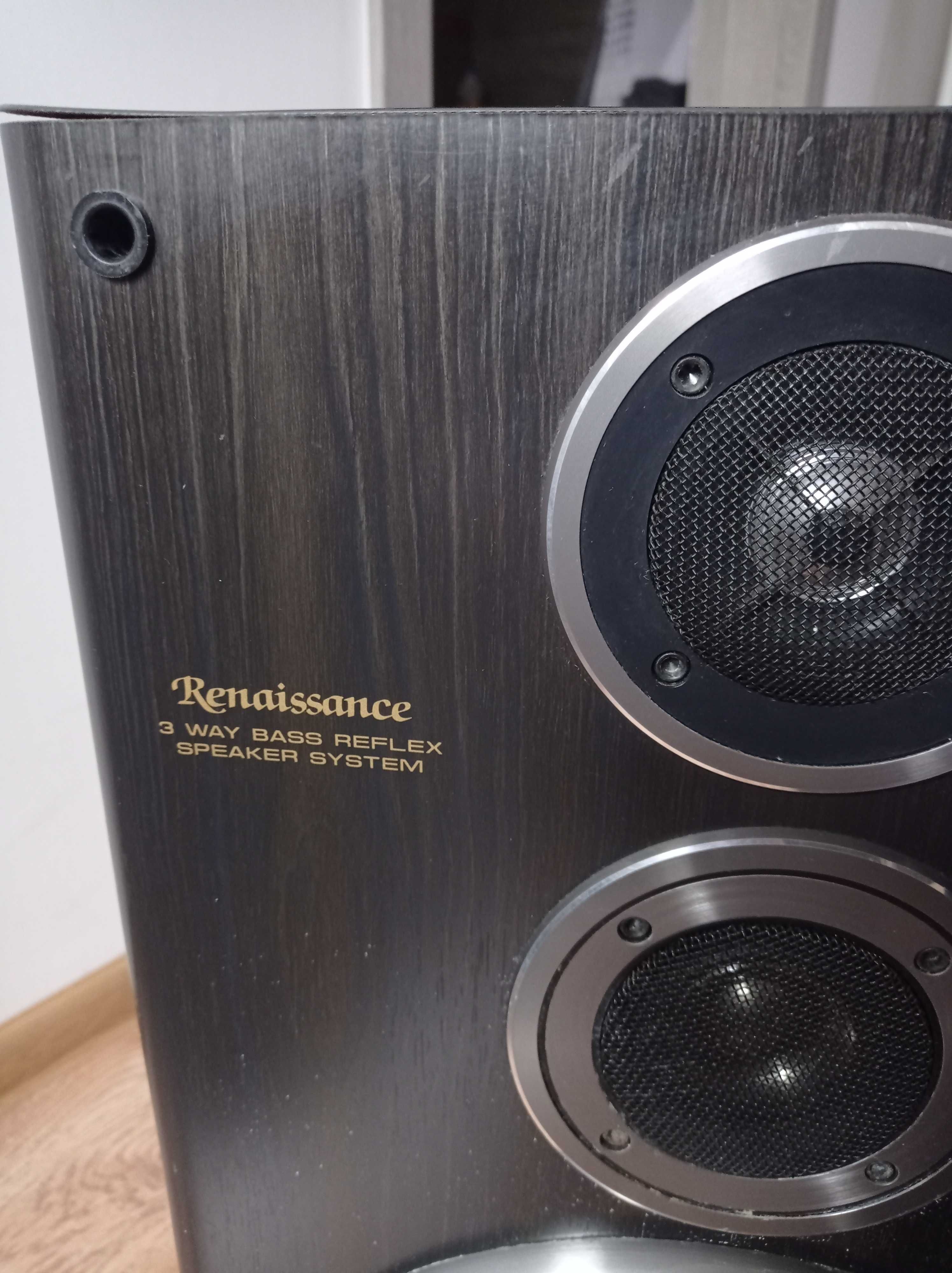 Głośniki SAMSUNG Renaissance PS-M1000 dwie kolumny po 100W każda