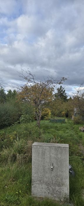 Dzialka rod sprzedam