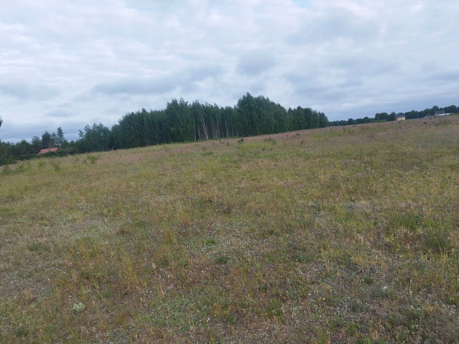 Działka Budowlana Pilchy nad Jez Roś Półwy na wzgórzu777m2 200m od Jez